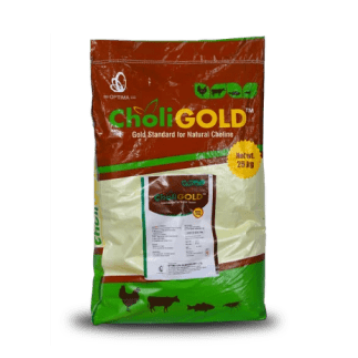 Choligold: Essential poultry supplement for optimal health