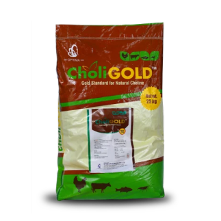 CHOLI GOLD