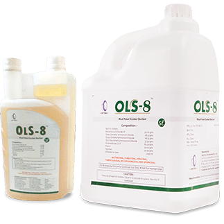 OLS 8: Essential disinfectant for poultry hygiene