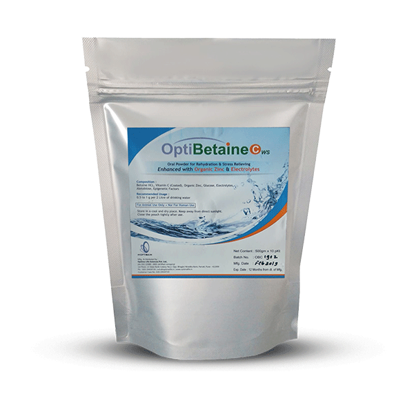 OptiBetaine C-WS: Essential poultry supplement for optimal health