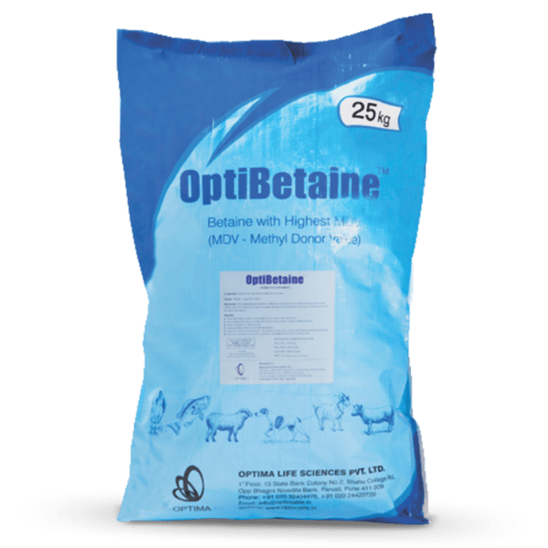 Optibetane: Cost-effective performance solution for poultry health