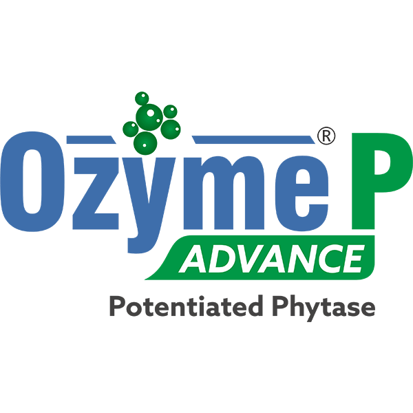 Ozyme P Advamce Potentiated Phytase