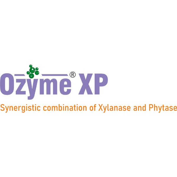 Ozyme XP - Synergistic Combination of xylanase and Phytase