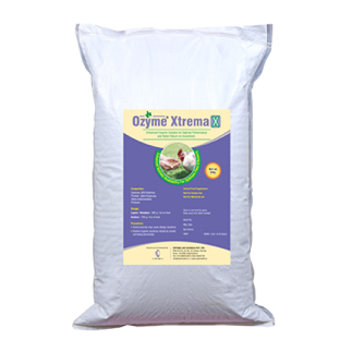 Ozyme XtremaX Poultry Feed: Maximize feed utilization and bird performance with our ideal enzyme blend
