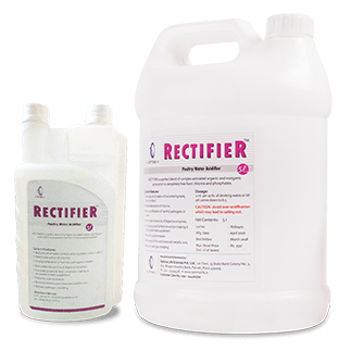 Rectifier: Water acidifier for poultry health and hygiene