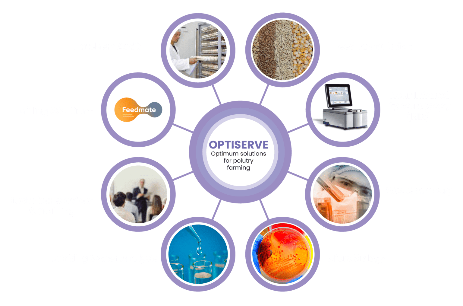 OptiServe poultry farming solutions, demonstrating Optima Life's commitment to advancing paultry farming