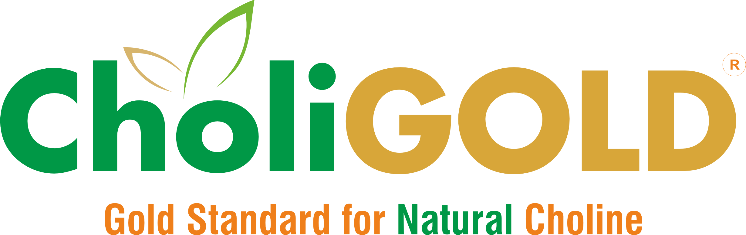 Choligold - Gold Standard For Natural Choline - Logo